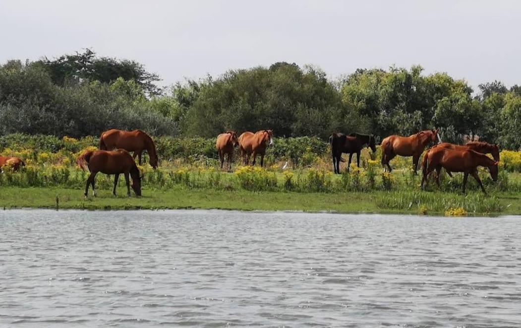 Quinta Marinhais Para Ferias No Ribatejo ภายนอก รูปภาพ